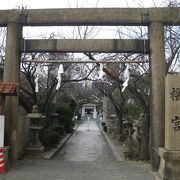 大川東岸毛馬桜ノ宮公園横に鎮座する神社