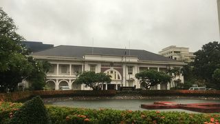 予防接種を受ける