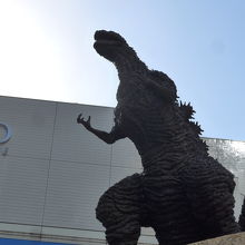 右手から回って写していきます