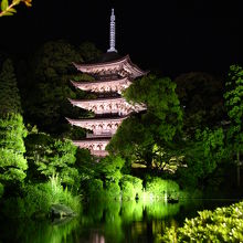 ライトアップされた五重塔の美しさは京都や奈良に負けません