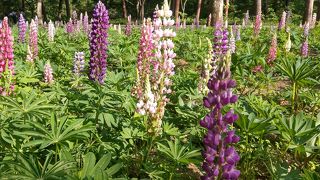 とにかく広い！