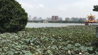 広々とした静かな場所です