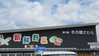 利根川の風景も見られます