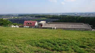 四日市市ふれあい牧場