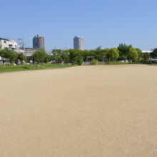 運動場のような広場の周りに句碑が並ぶ