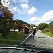 のどかな雰囲気です。馬います