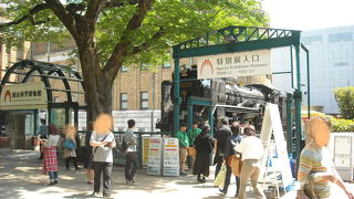 なんで珍しがるの？？