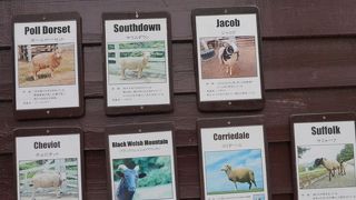 南駐車場を利用する方は注意！