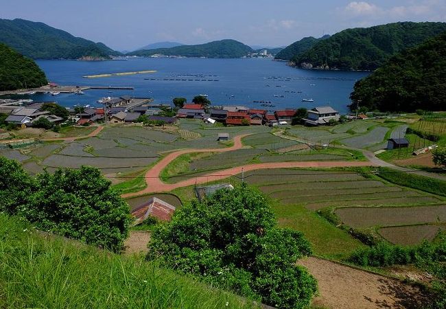 日引の棚田