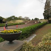 千葉市で最大級の公園です。