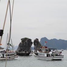 多くのクルーズ船が