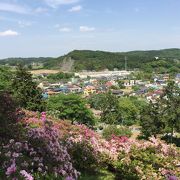 五大尊は関東屈指のつつじ園です！