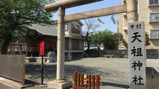 ほとんど多摩川沿い