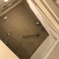 シャワーヘッドが可動なので便利。