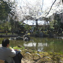 靖国神社の神池庭園の池とそれを囲む東屋(茶室)、岩、橋等です