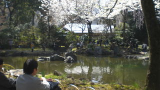 靖国神社の奥の方に、伝統的な日本式庭園の神池庭園があります。