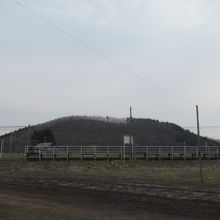 将軍山駅