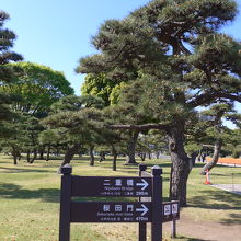 東京駅方面から来た皇居外苑の二重橋の案内板