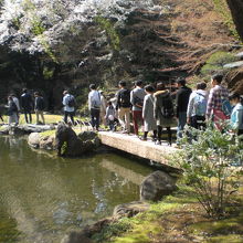 靖国神社の神池庭園には、多くの参拝客(観光客)が訪れてきます
