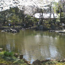 伝統的な日本式庭園である神池庭園は、美しい湖面が有名です。