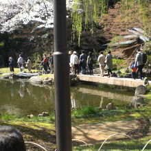 神池庭園の石橋は、日本で一番長い石の橋として、有名のようです