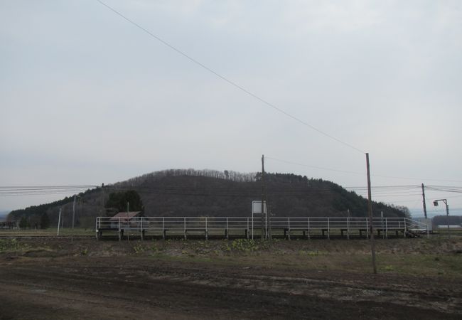 将軍山駅