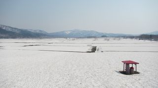 そばの花展望台