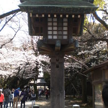 中門鳥居横に置かれている燈籠です。木製の燈籠で趣きがあります