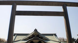 靖国神社の拝殿の前に、中門鳥居があります。檜造りの鳥居です。