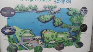 市民憩いの公園です。