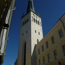 正面からはとても全容をとらえきれない