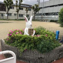 うさぎ