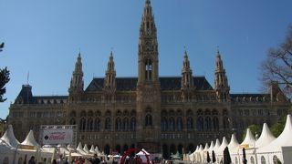 ウイーンシティマラソンのゴール