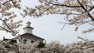 鶴岡公園の桜の風景で登場する建物はここでした