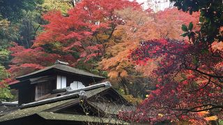 まさに秋に似合う建物
