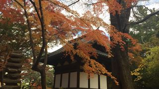 辺りに溶け込んでいます