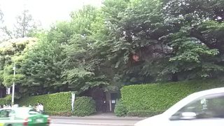 ファンは大興奮