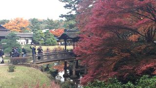 風情を楽しむ和の庭園