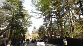 黒い塀と古いお屋敷、多くの枝垂れ桜で、江戸時代の城下町にタイムスリップしたよう…