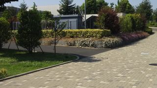 遊歩道を備えた公園