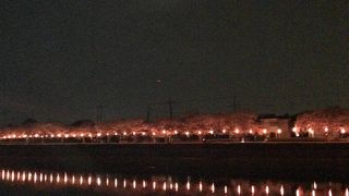 北越谷桜まつり