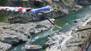 大歩危峡を楽しむには　揺れない遊覧船でどうぞ