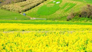 気持ちがいい場所です・