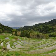 美しい棚田