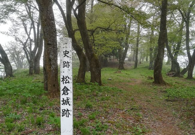 お城好き以外は何もない