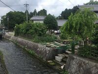 高島市針江地区 (針江生水の郷)