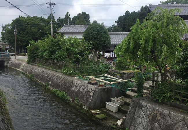 高島市針江地区 (針江生水の郷)