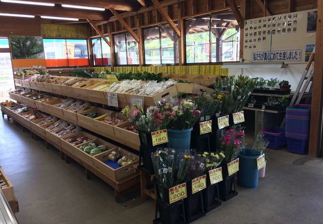 なぎ高原「山彩村」