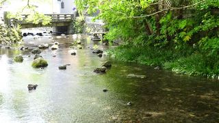 三島市内の遊歩道