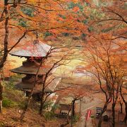 静かなお寺